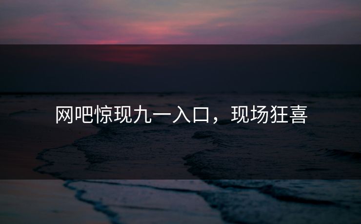 网吧惊现九一入口，现场狂喜