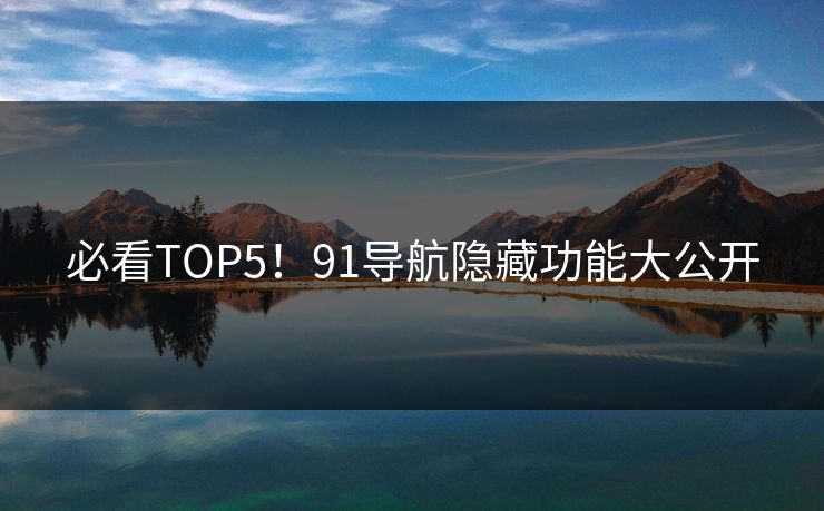 必看TOP5！91导航隐藏功能大公开