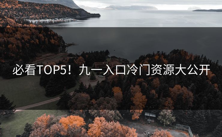 必看TOP5！九一入口冷门资源大公开