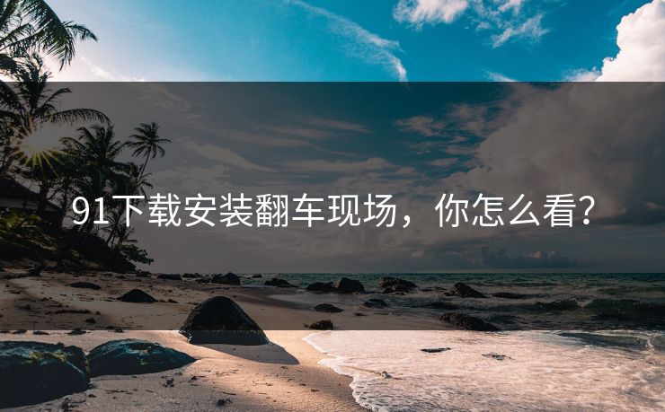 91下载安装翻车现场，你怎么看？