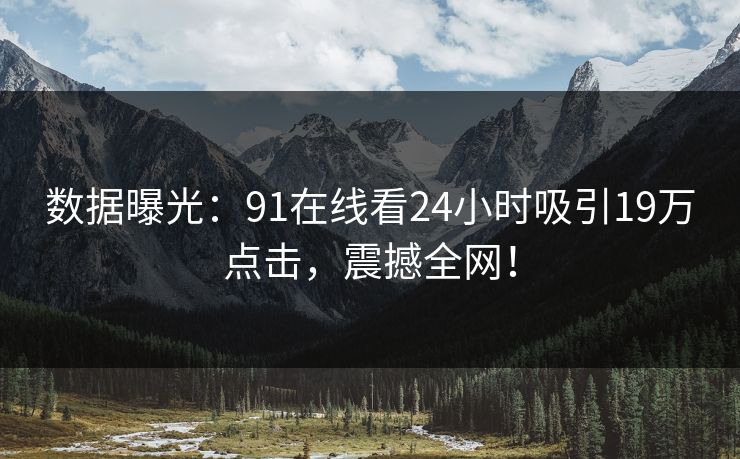 数据曝光：91在线看24小时吸引19万点击，震撼全网！