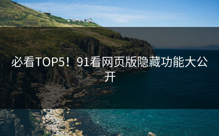 必看TOP5！91看网页版隐藏功能大公开