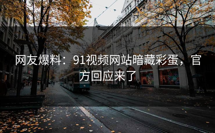 网友爆料：91视频网站暗藏彩蛋，官方回应来了