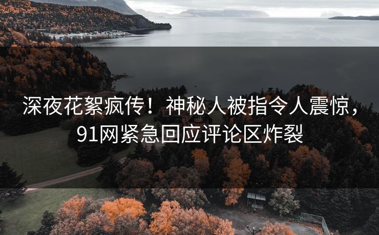 深夜花絮疯传！神秘人被指令人震惊，91网紧急回应评论区炸裂