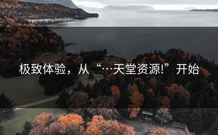 极致体验，从“…天堂资源!”开始