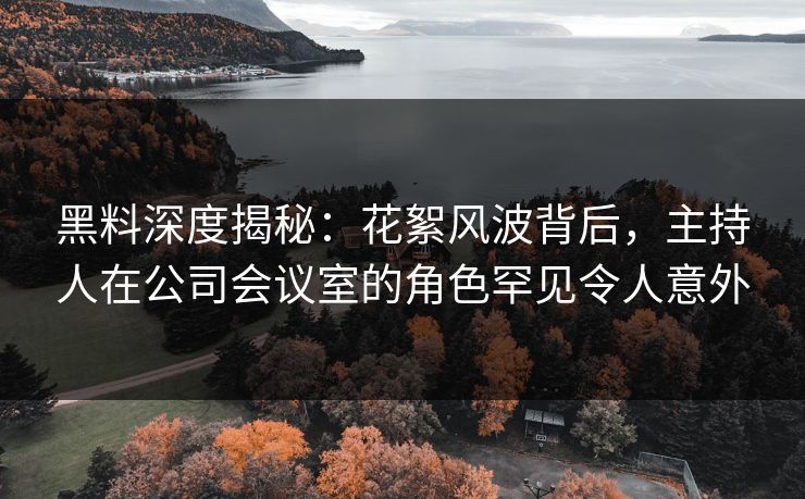 黑料深度揭秘：花絮风波背后，主持人在公司会议室的角色罕见令人意外
