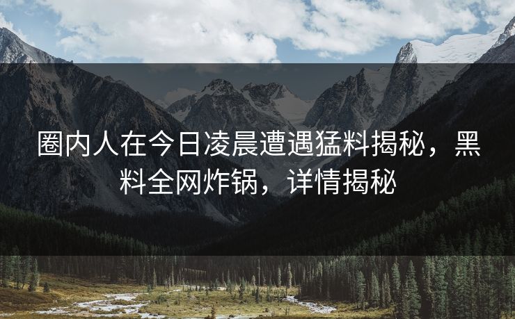 圈内人在今日凌晨遭遇猛料揭秘，黑料全网炸锅，详情揭秘