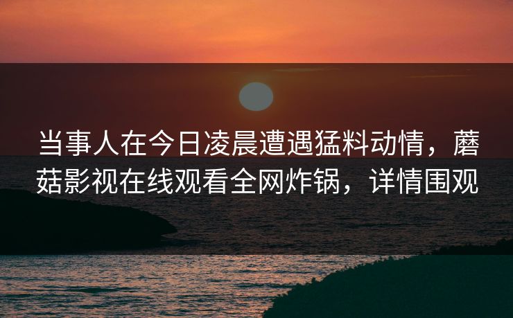 当事人在今日凌晨遭遇猛料动情，蘑菇影视在线观看全网炸锅，详情围观