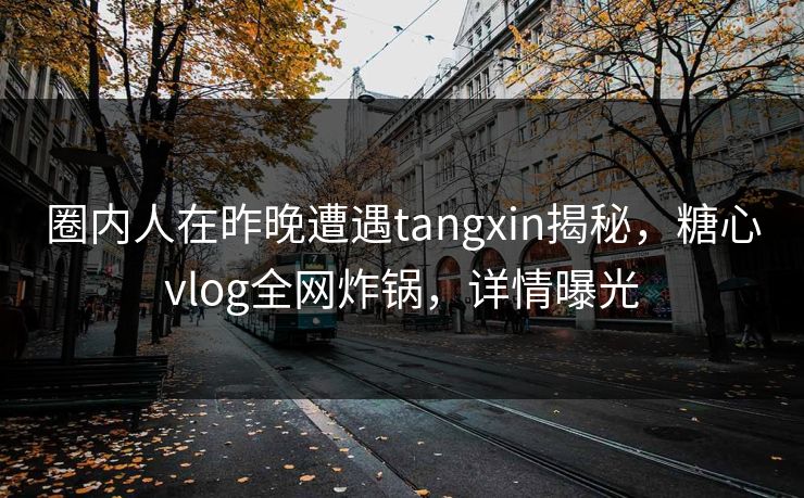 圈内人在昨晚遭遇tangxin揭秘，糖心vlog全网炸锅，详情曝光